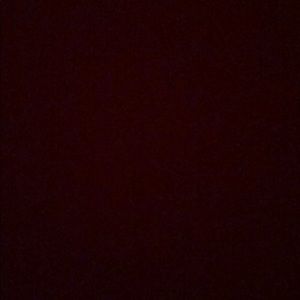 Meet your Posher, Alycia